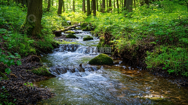 高清大图下载【趣麦麦图】森林小溪流水