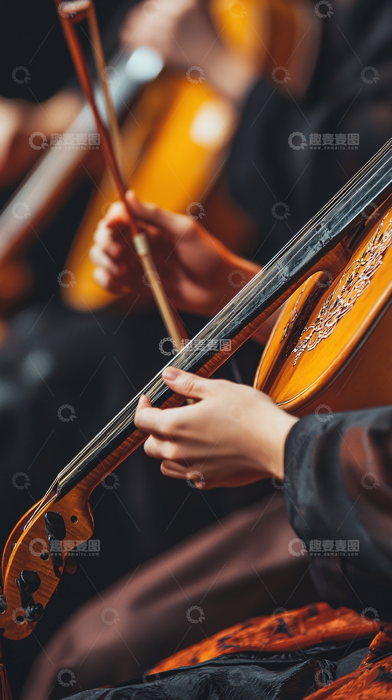 高清大图下载【趣麦麦图】乐团演奏特写