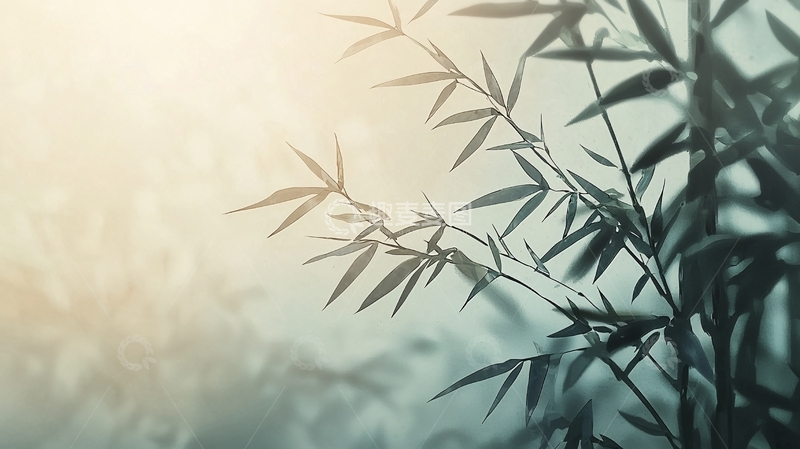 高清大图下载【趣麦麦图】清晨阳光下的竹叶