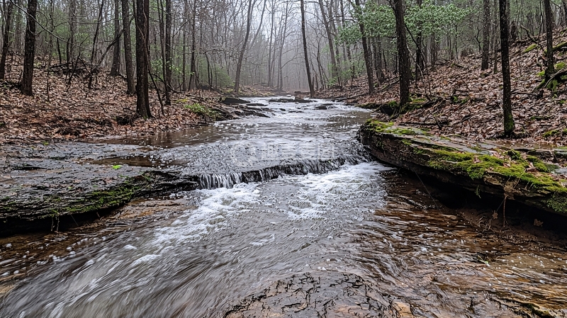 高清大图下载【趣麦麦图】森林小溪流水