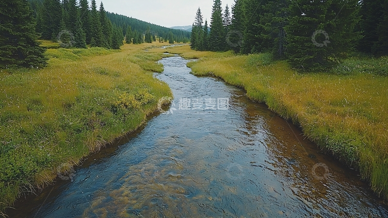 高清大图下载【趣麦麦图】蜿蜒河流穿过绿地森林