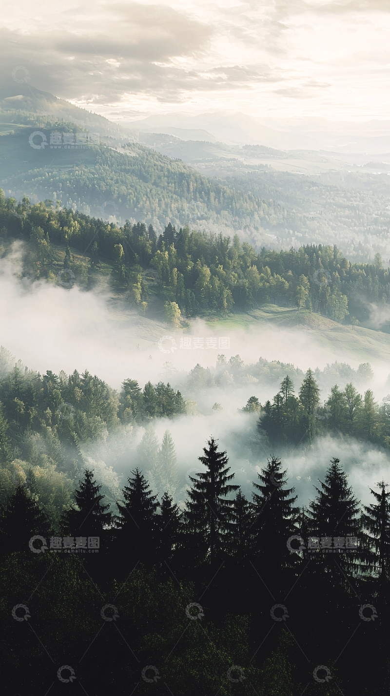 高清大图下载【趣麦麦图】雾气缭绕的山峦森林