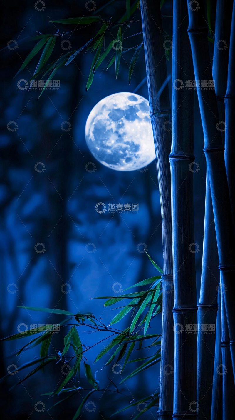 高清大图下载【趣麦麦图】月夜竹林