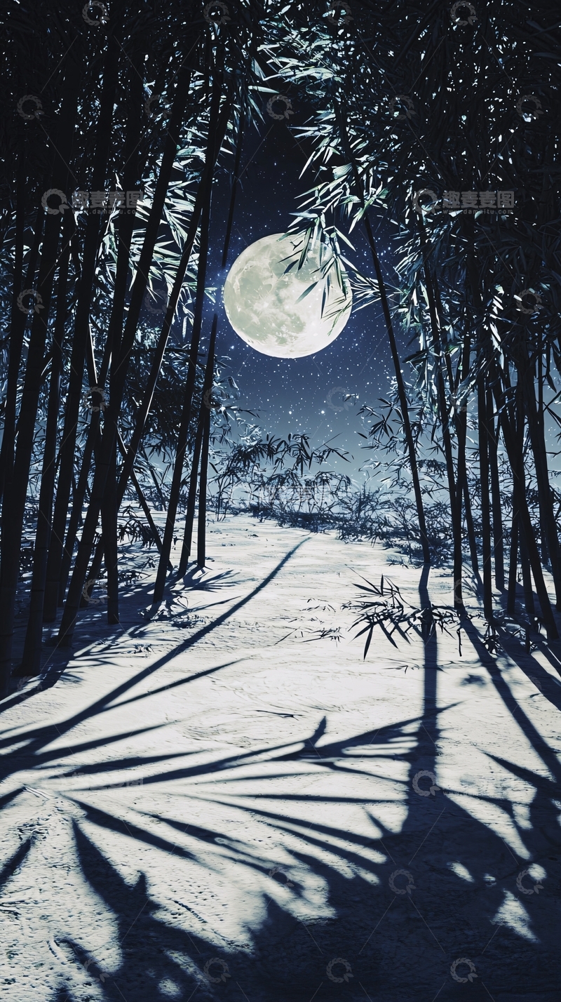 高清大图下载【趣麦麦图】月光竹林小路