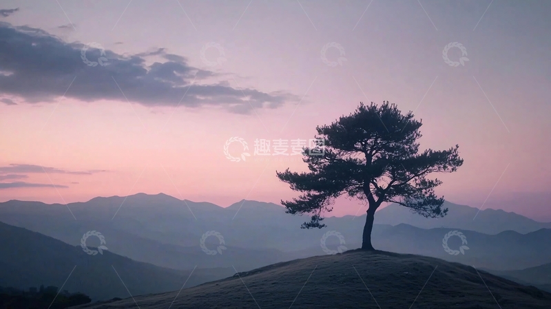 高清大图下载【趣麦麦图】孤树