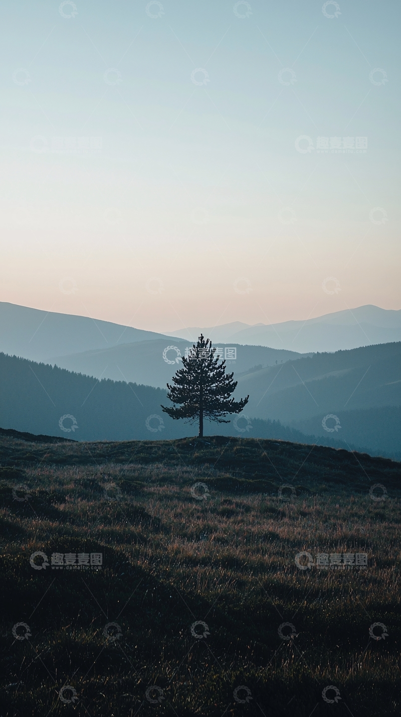 高清大图下载【趣麦麦图】孤树