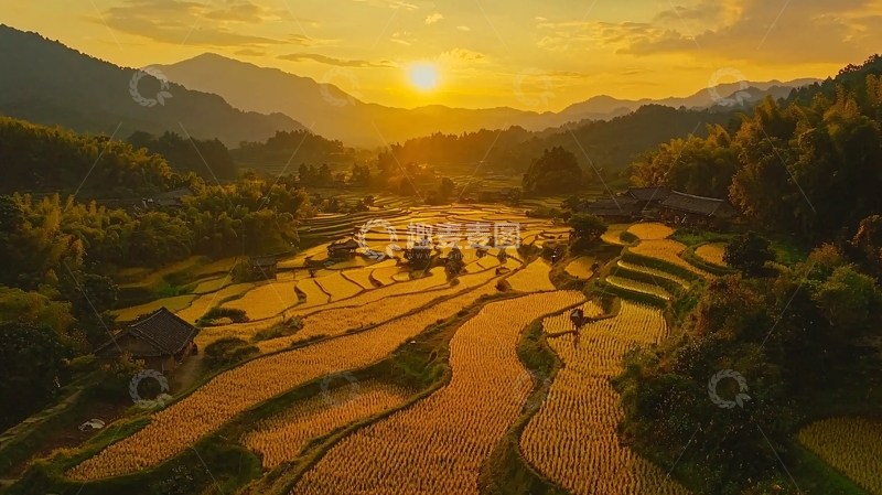 高清大图下载【趣麦麦图】日落梯田美景