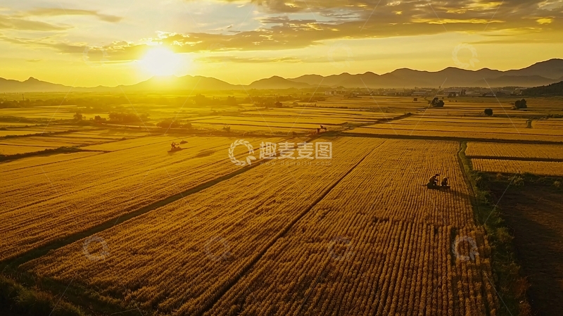 高清大图下载【趣麦麦图】日落稻田