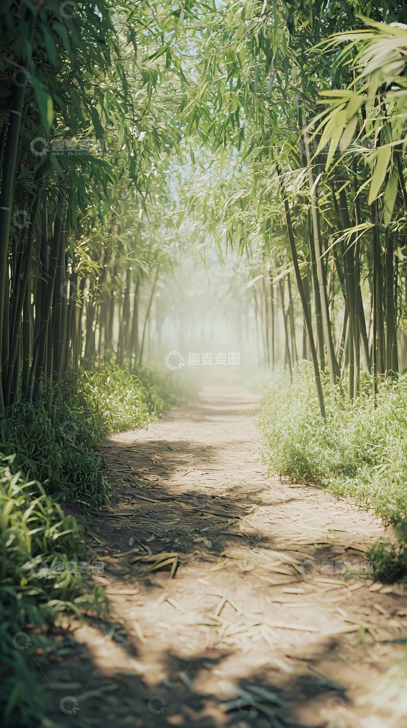 高清大图下载【趣麦麦图】阳光洒在竹林小路上