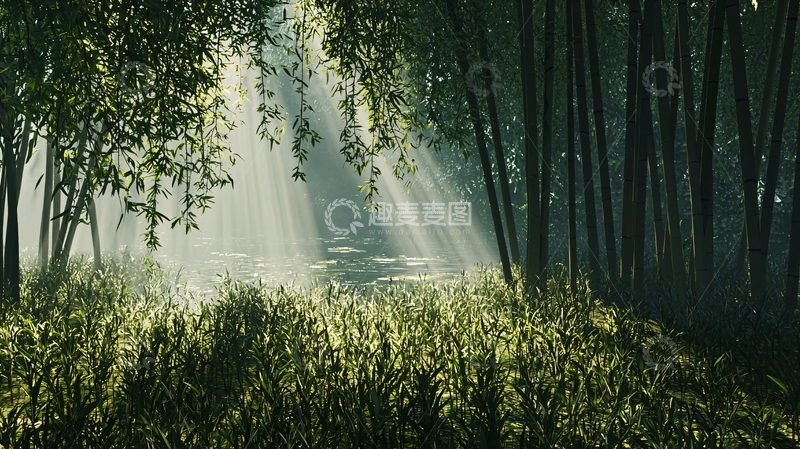 高清大图下载【趣麦麦图】竹林阳光