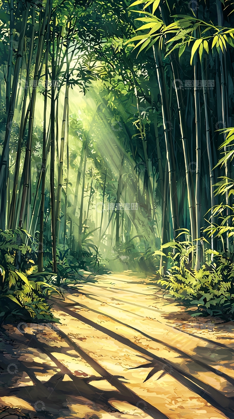 高清大图下载【趣麦麦图】阳光透过竹林小路