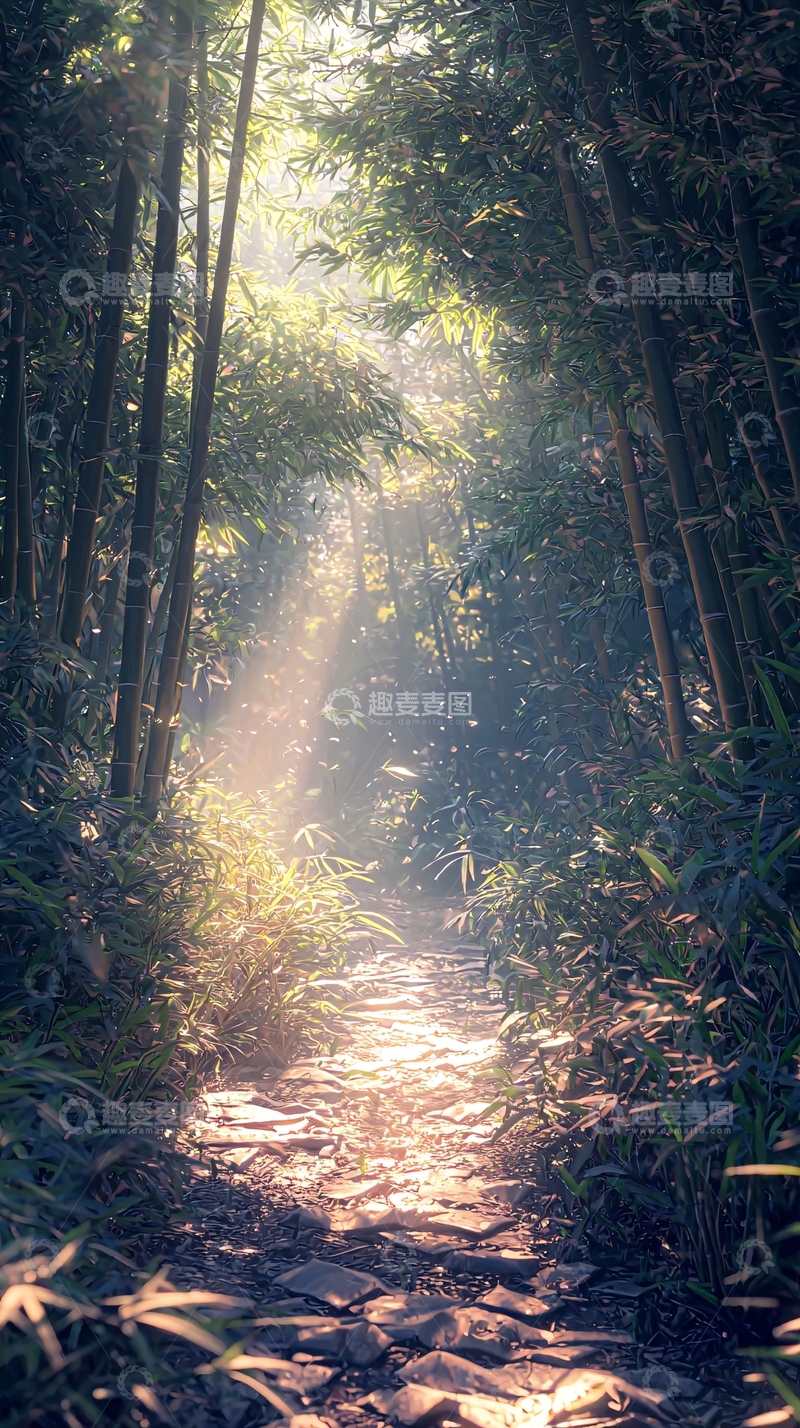 高清大图下载【趣麦麦图】阳光森林小路