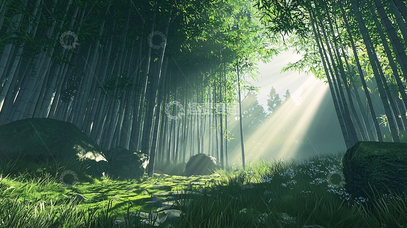 高清大图下载【趣麦麦图】阳光透过竹林