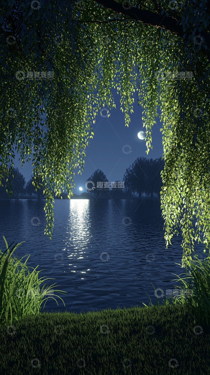 高清大图下载【趣麦麦图】月光下的湖边树林