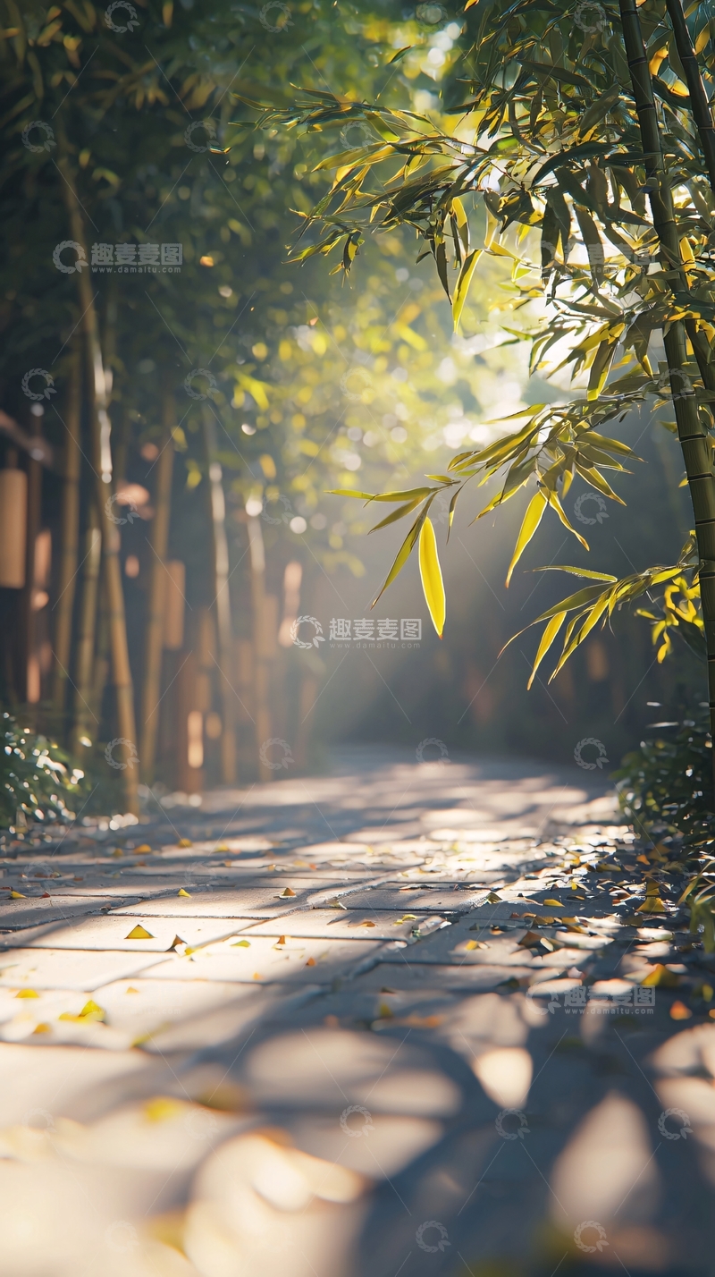 高清大图下载【趣麦麦图】阳光透过竹林小路