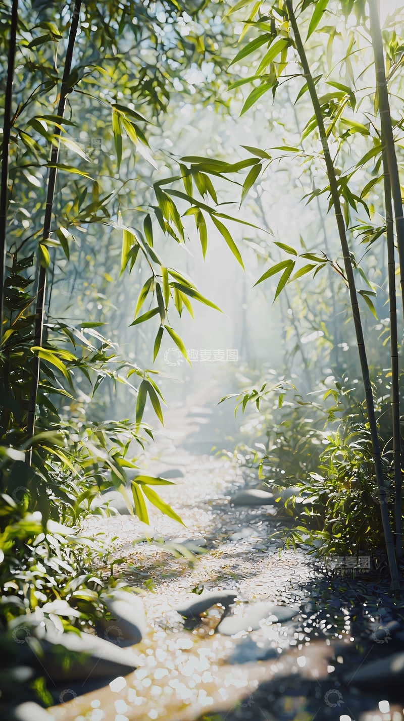 高清大图下载【趣麦麦图】阳光透过竹林小路