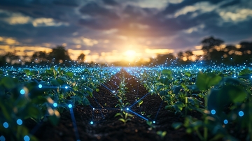 田野上的智能农业科技