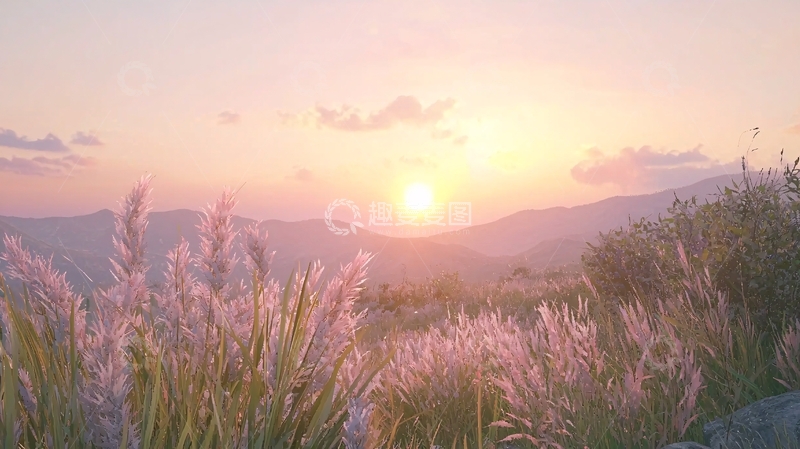 高清大图下载【趣麦麦图】夕阳下的山峦与芦苇