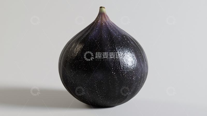 高清大图下载【趣麦麦图】单个深紫色无花果