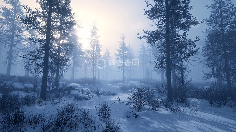 高清大图下载【趣麦麦图】雪地森林的雾气弥漫
