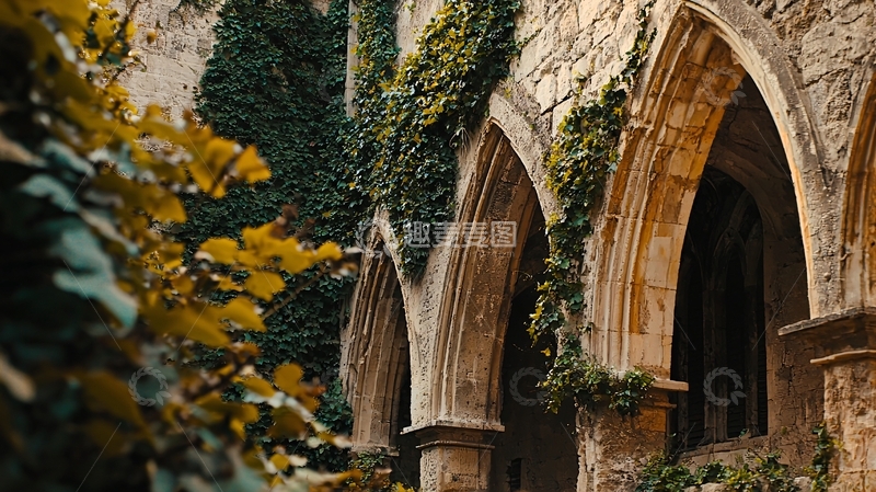 高清大图下载【趣麦麦图】古堡藤蔓拱门