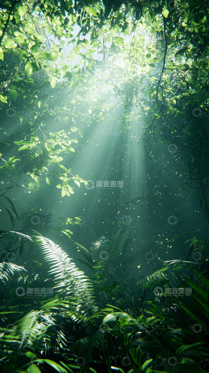 高清大图下载【趣麦麦图】阳光透过树林