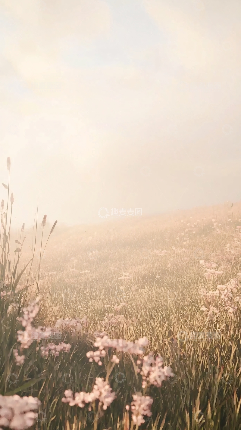 高清大图下载【趣麦麦图】雾中田野粉色花朵