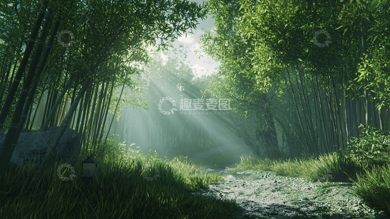 高清大图下载【趣麦麦图】阳光透过竹林