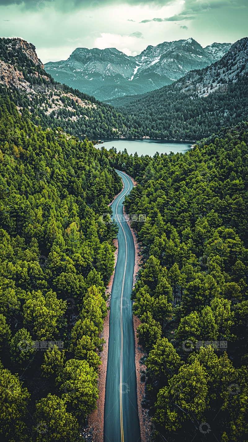 高清大图下载【趣麦麦图】蜿蜒山路穿行森林间