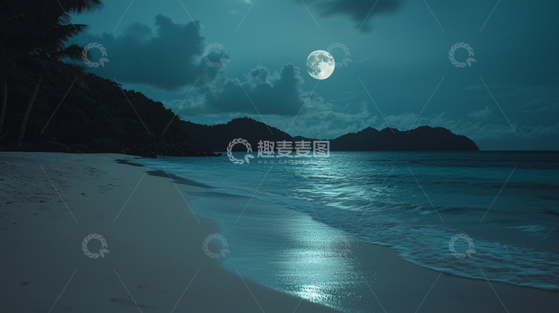 高清大图下载【趣麦麦图】月光下的热带海滩