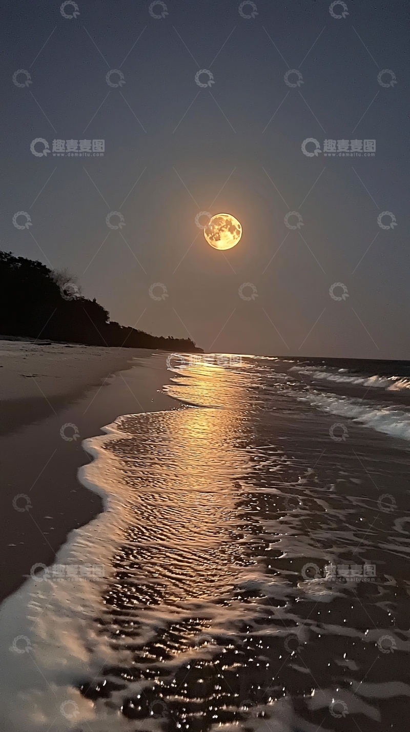 高清大图下载【趣麦麦图】海滩月夜