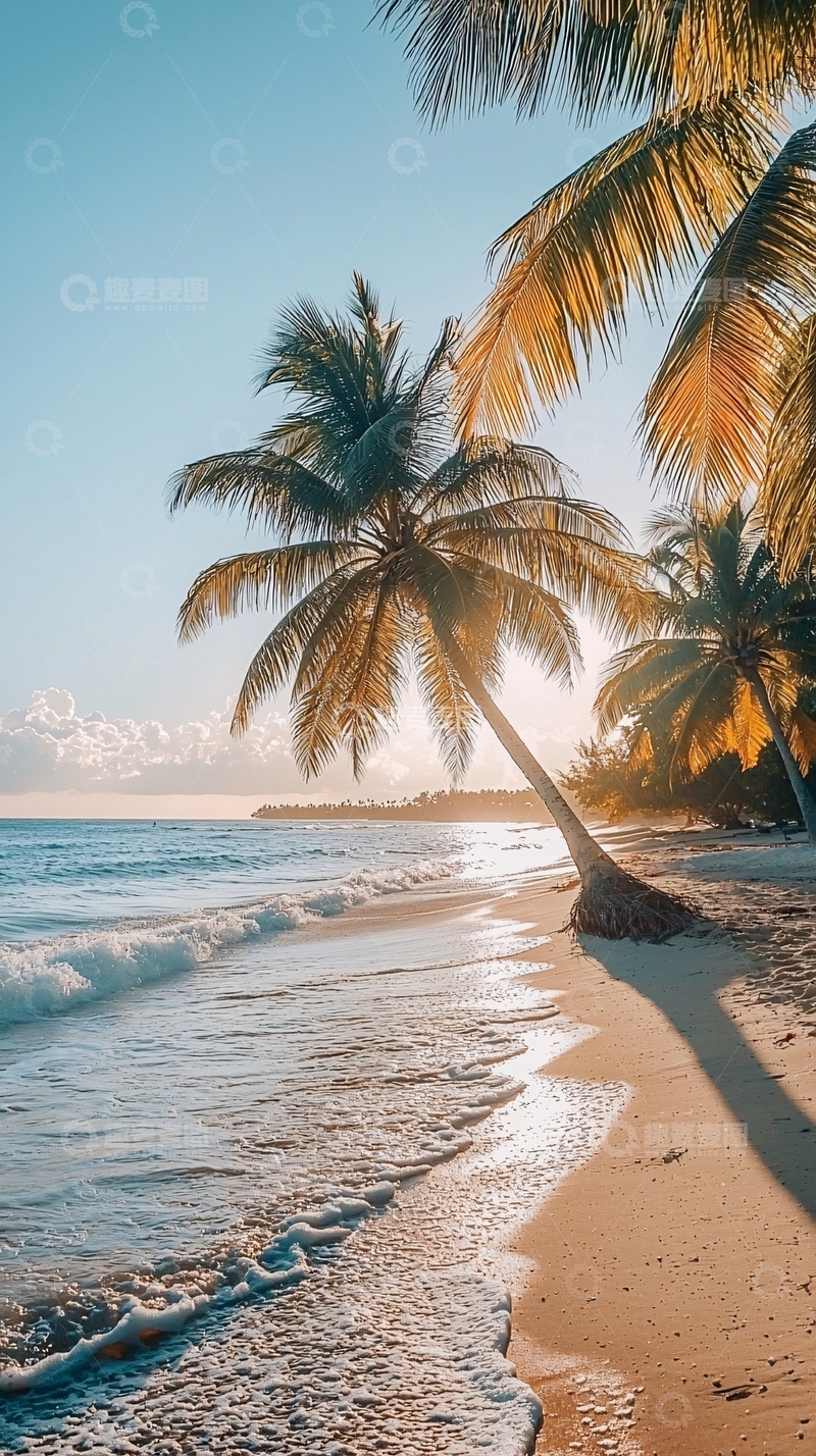 高清大图下载【趣麦麦图】阳光沙滩棕榈树海景