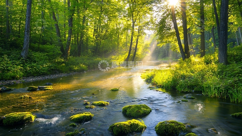 高清大图下载【趣麦麦图】森林溪流阳光