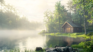 清晨雾气森林木屋