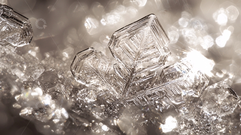 高清大图下载【趣麦麦图】晶莹剔透的冰晶特写