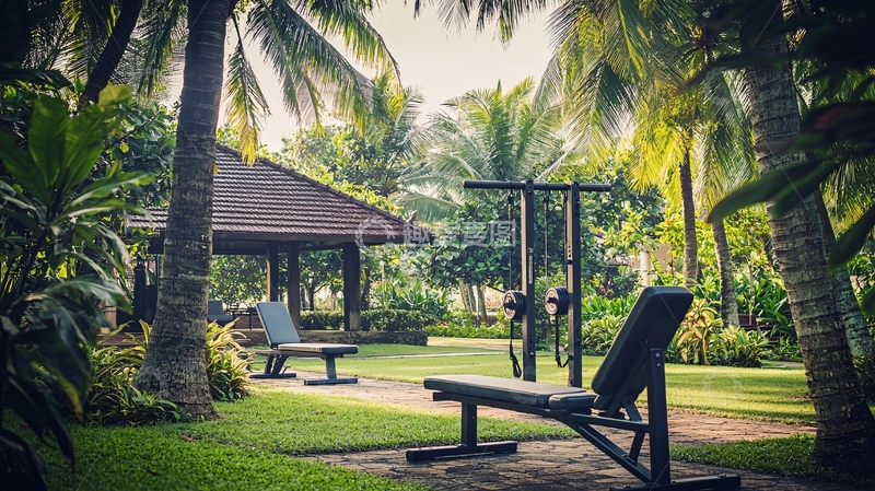 高清大图下载【趣麦麦图】热带户外健身房
