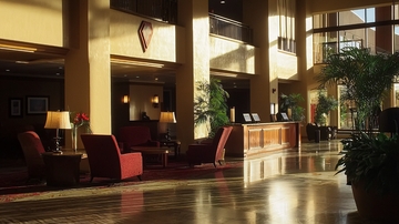 酒店大堂阳光洒进