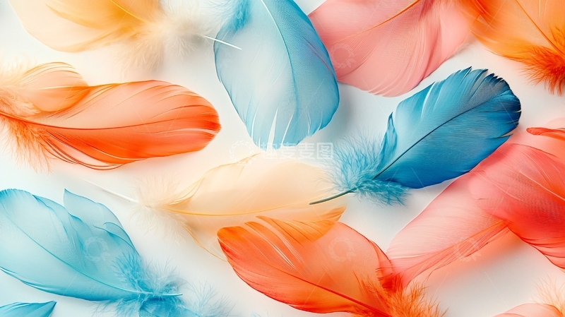 高清大图下载【趣麦麦图】彩色羽毛散落特写