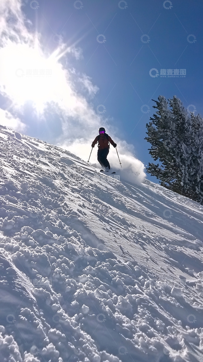高清大图下载【趣麦麦图】阳光下滑雪者