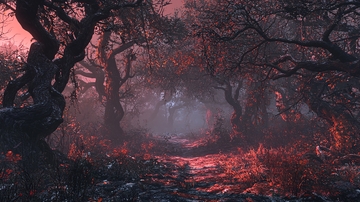 暗红森林迷雾小路