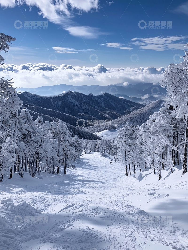 高清大图下载【趣麦麦图】雪山林海云雾缭绕