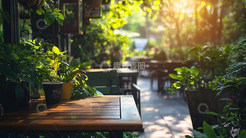 高清大图下载【趣麦麦图】阳光洒满绿意庭院咖啡桌