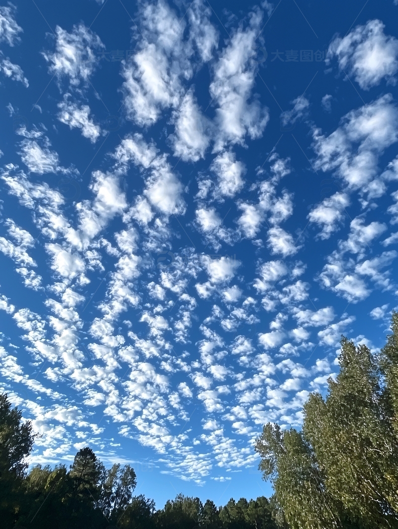蓝天白云小朵点缀