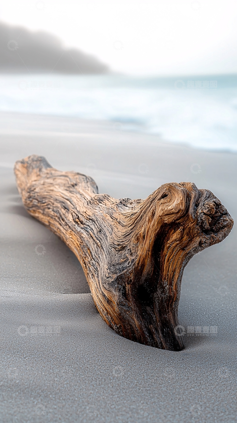 高清大图下载【趣麦麦图】海滩上的漂流木