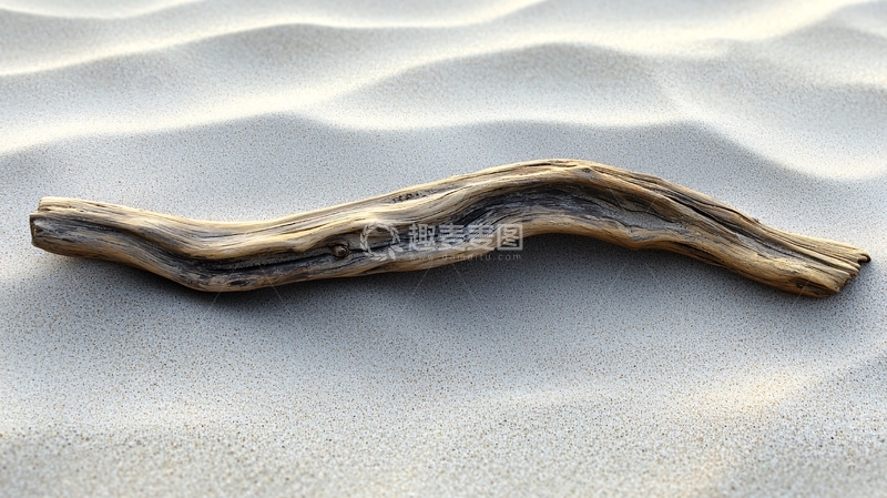 高清大图下载【趣麦麦图】沙滩上的漂流木