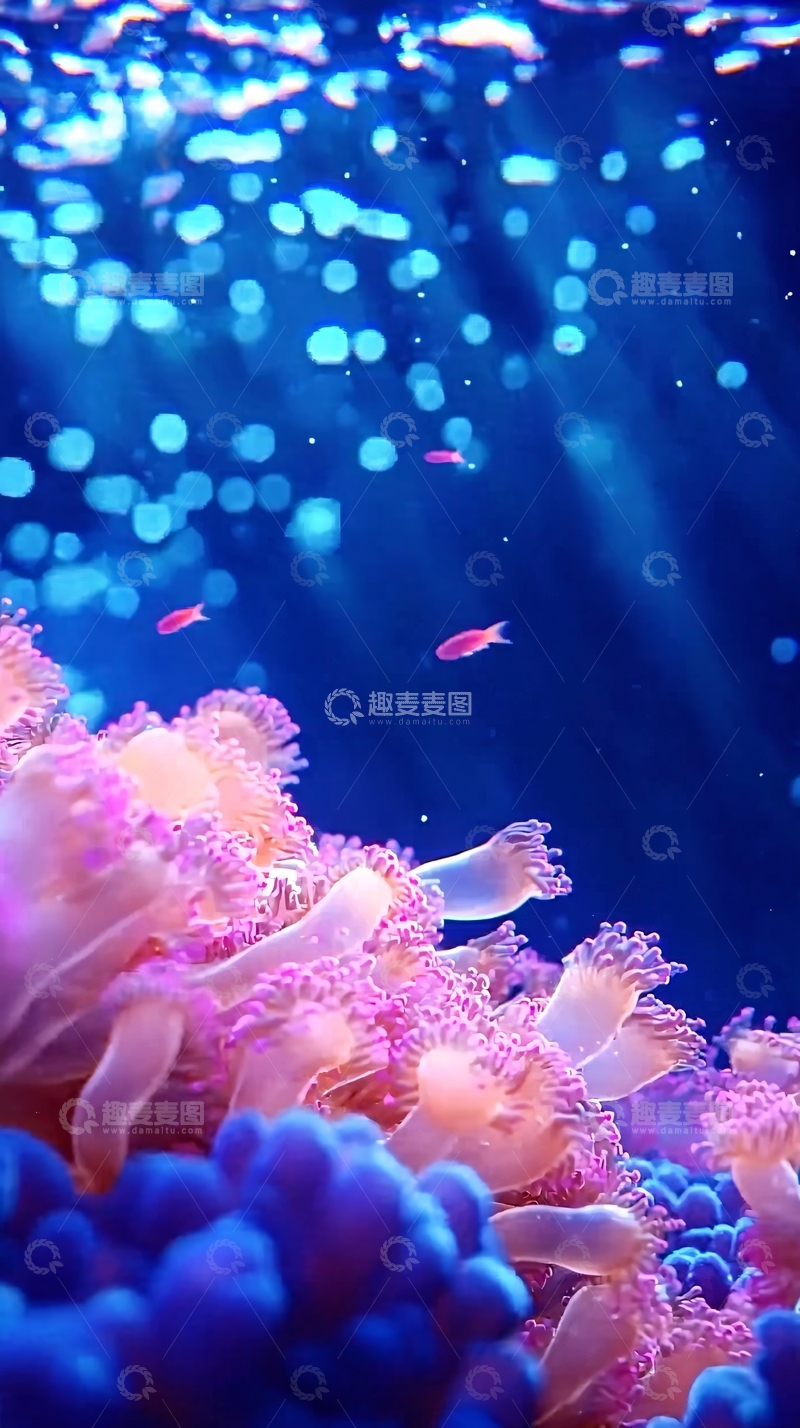 高清大图下载【趣麦麦图】梦幻蓝色珊瑚和粉色水母