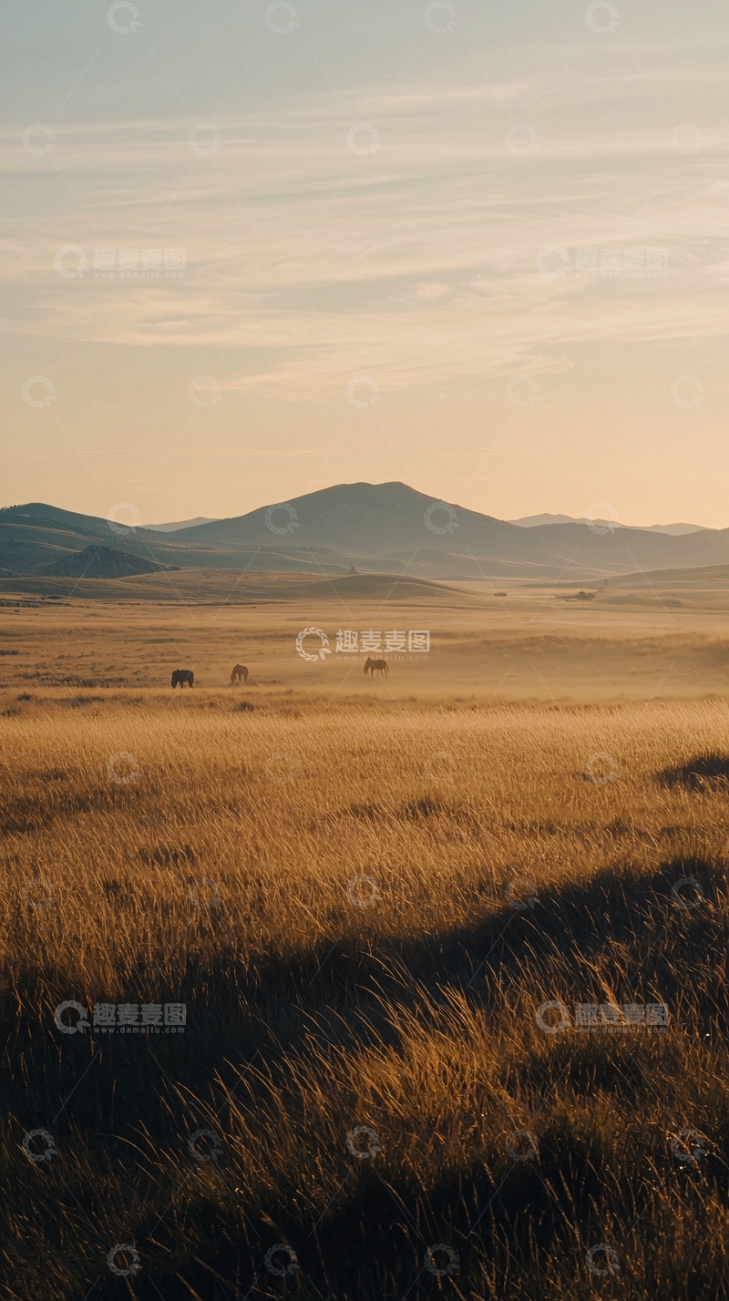 高清大图下载【趣麦麦图】日出时分广阔草原景色
