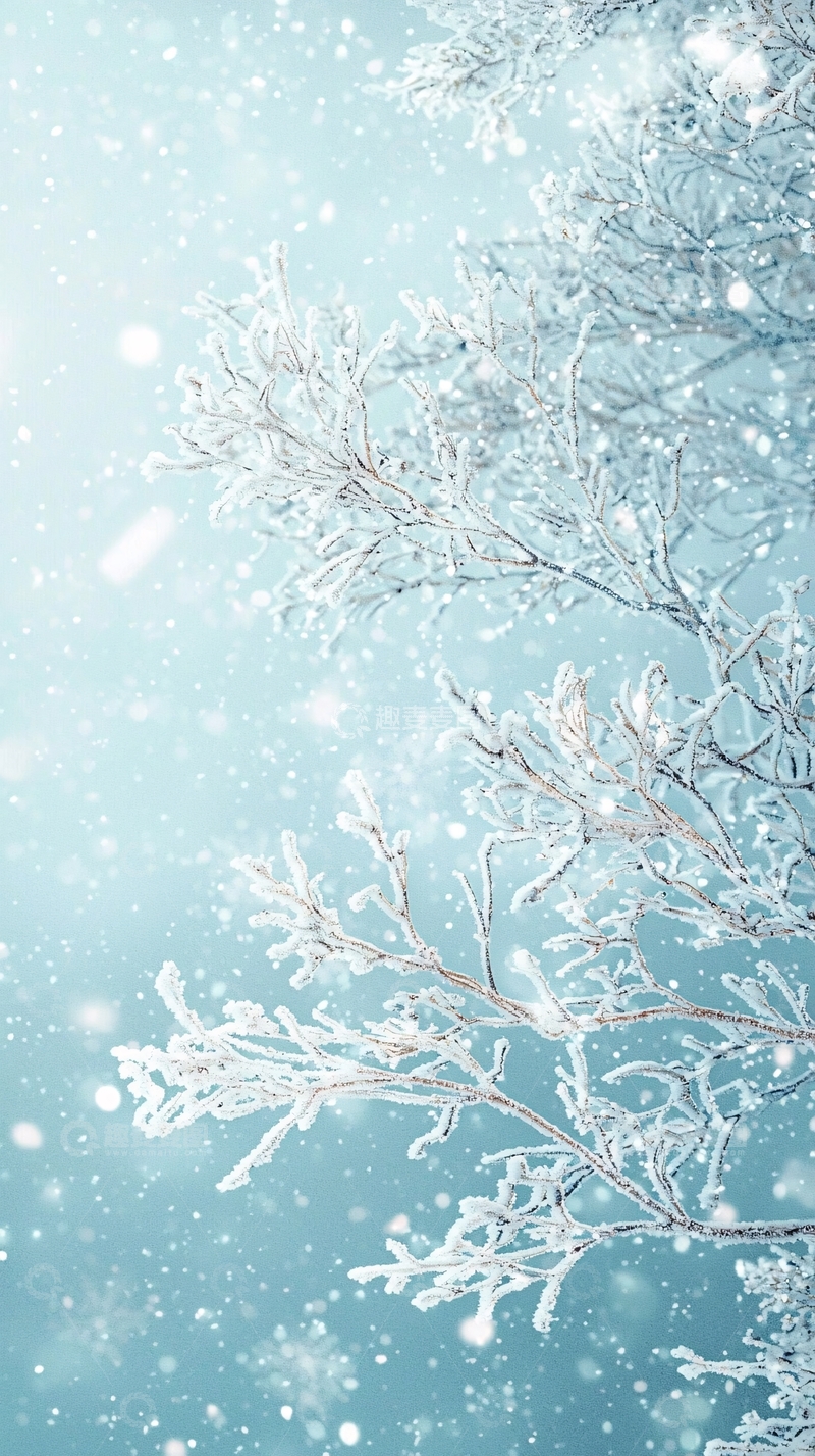 高清大图下载【趣麦麦图】冰雪覆盖的树枝