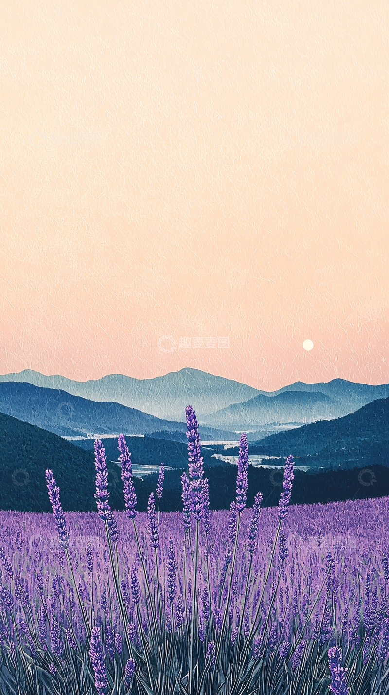 高清大图下载【趣麦麦图】薰衣草田野日落景色