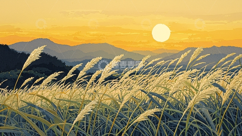 高清大图下载【趣麦麦图】秋日落日下的芦苇荡